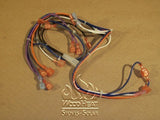 EG28/EG40 FS BURNER WIRING HARNESS  --  EC-037A